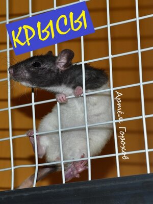 cover image of Крысы